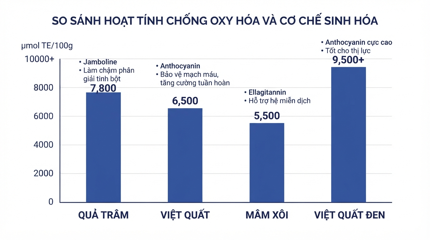 So sánh đặc tính chống oxy hóa và cơ chế sinh học giữa các loại quả mọng.
