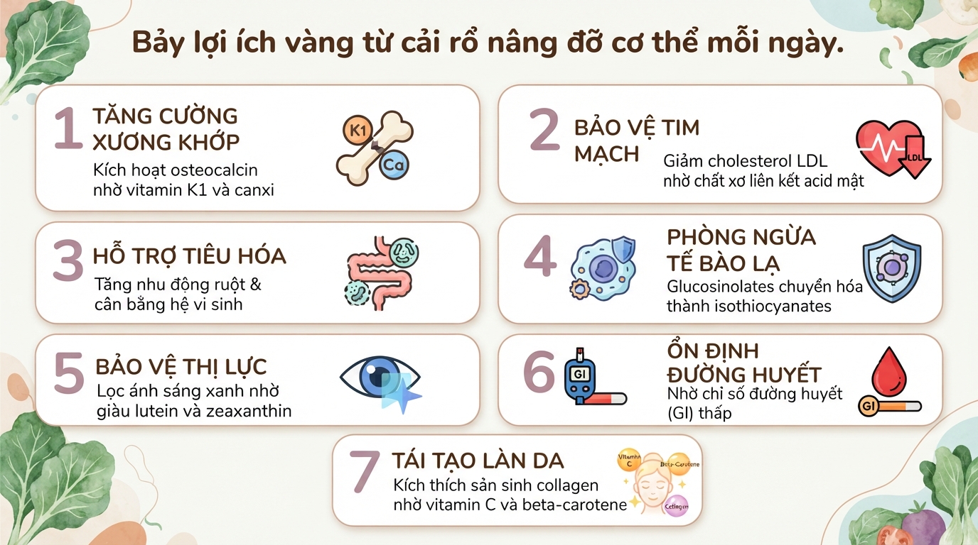 Cải rổ là gì? 7 tác dụng của rau cải rổ với sức khỏe và lưu ý khi dùng