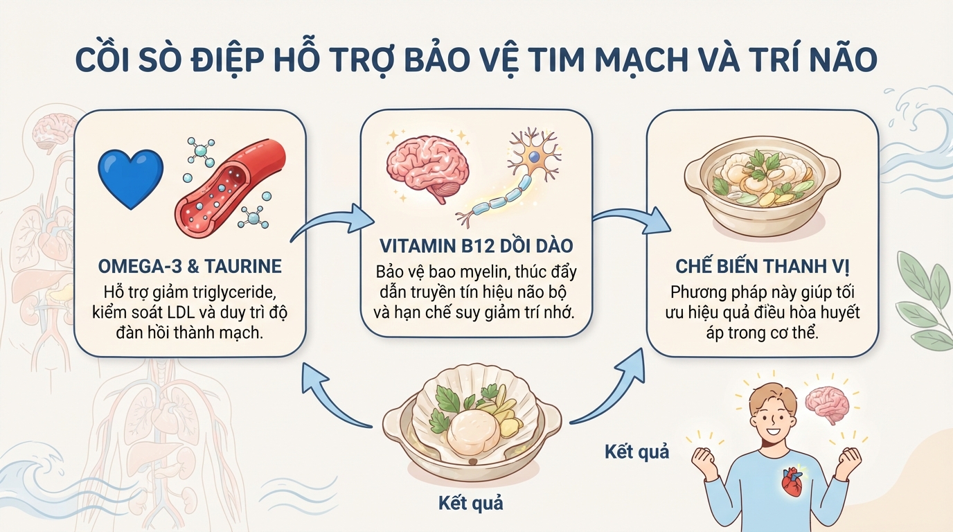 Sò điệp có tác dụng gì? 7 lợi ích sức khỏe và lưu ý khi ăn