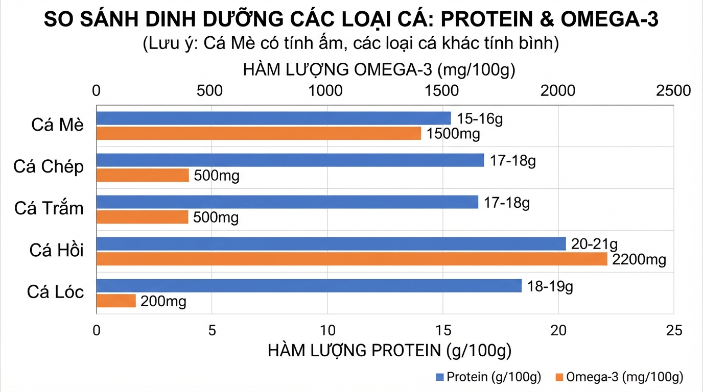 So sánh lượng protein và omega-3 của cá mè với một số loại cá sông, cá biển khác.