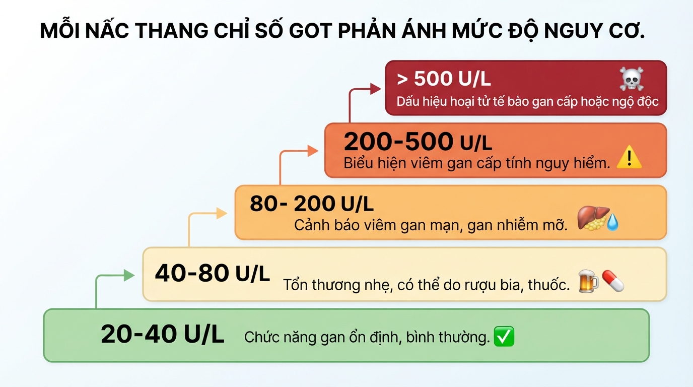 Chỉ số GOT là gì? Ý nghĩa xét nghiệm, nguyên nhân tăng và khi nào cần đi khám