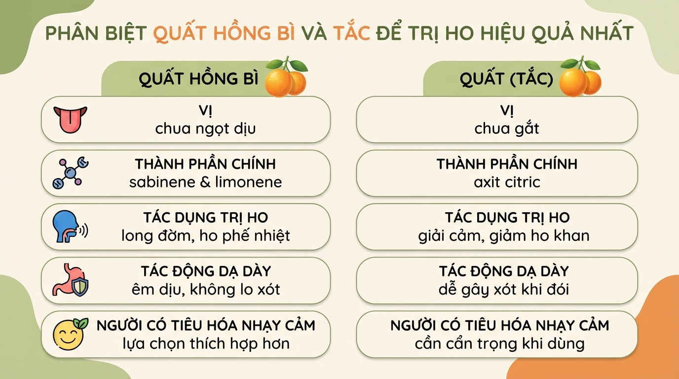Quất hồng bì: 6 tác dụng, trị ho, tiêu hóa và cách ngâm mật ong chuẩn