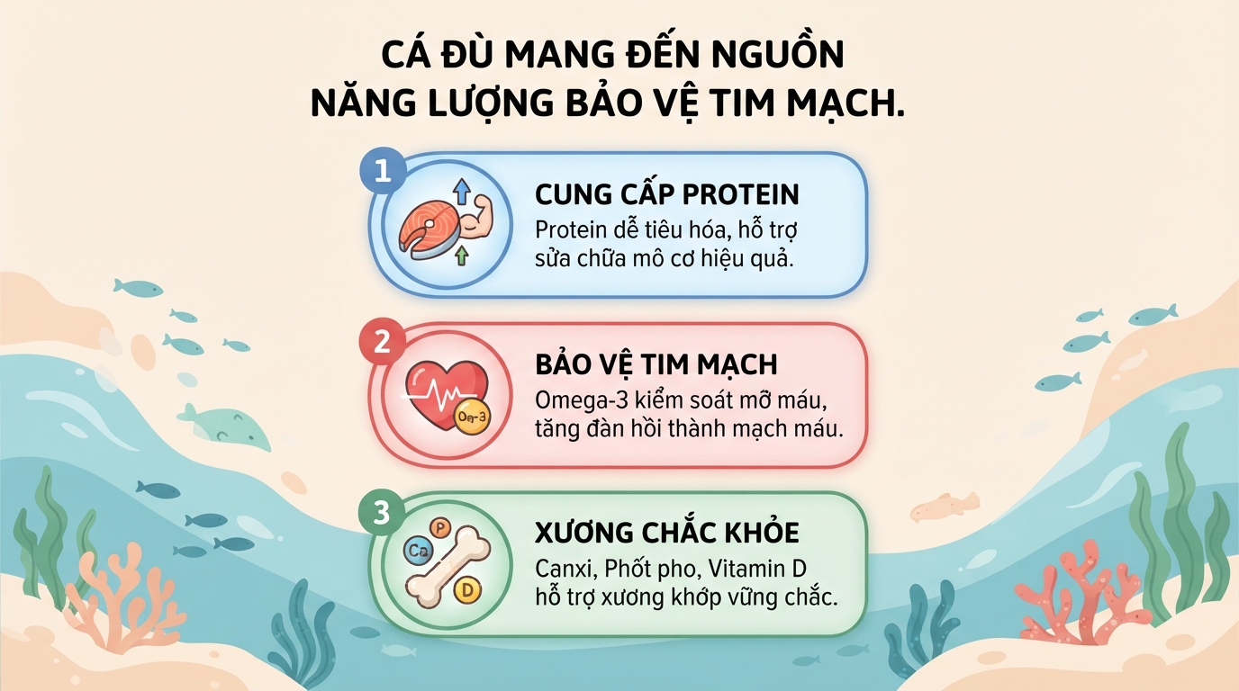 Cá đù có tác dụng gì? Giá trị dinh dưỡng và lợi ích đối với sức khỏe