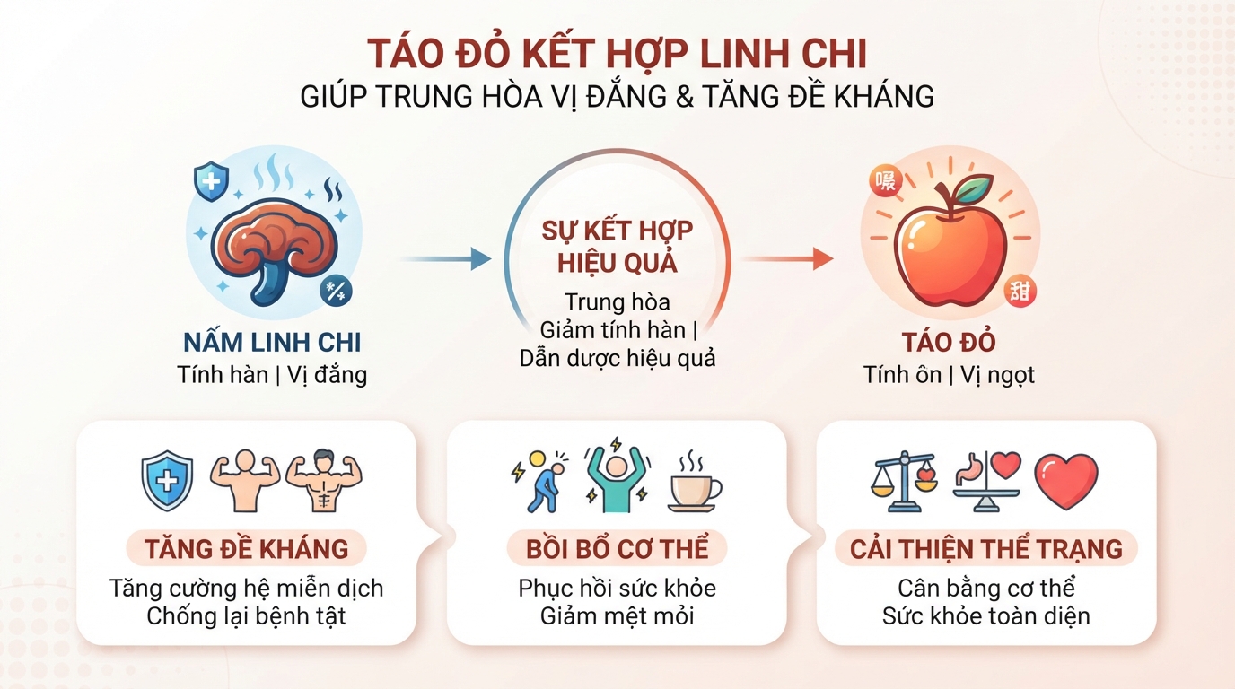 Táo đỏ kết hợp linh chi giúp trung hòa vị đắng và tăng đề kháng.