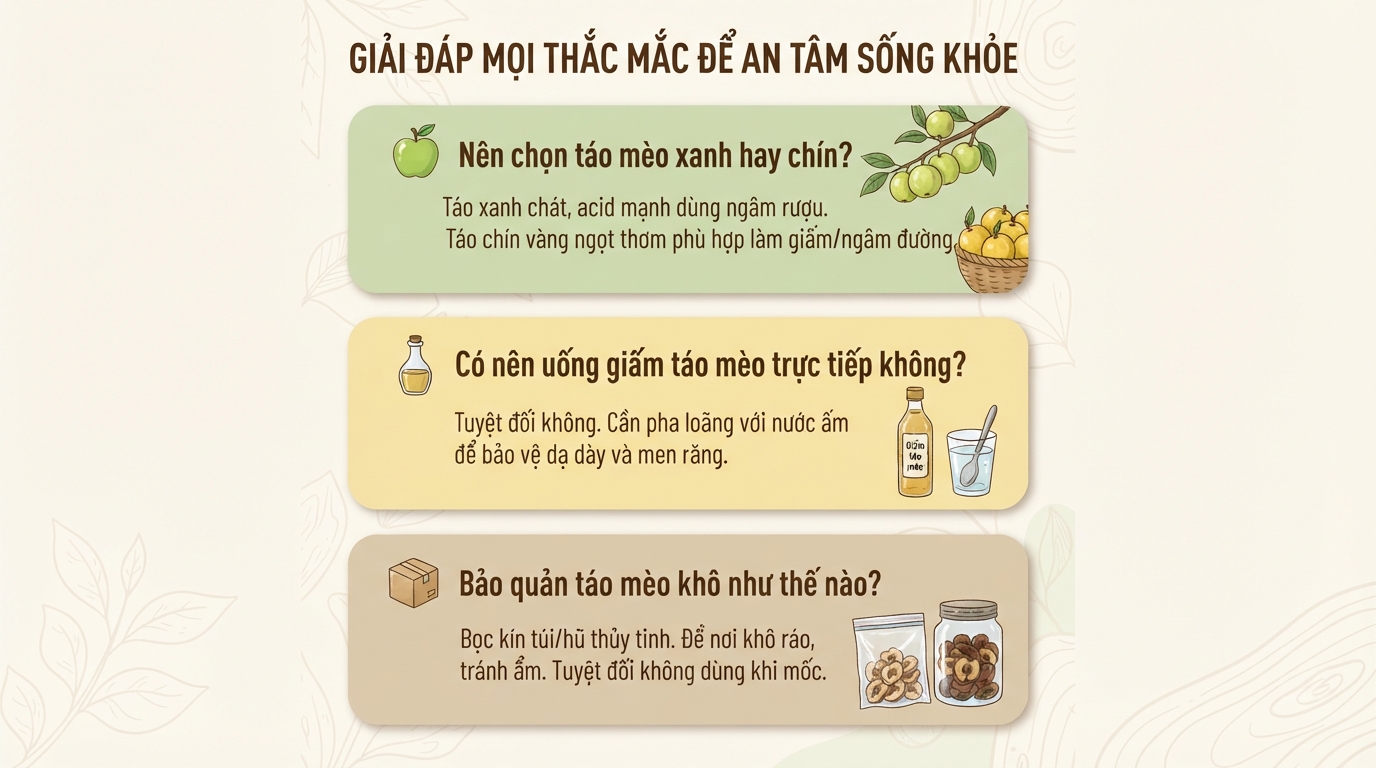 Táo mèo là gì? Tác dụng, cách dùng và lưu ý khi sử dụng