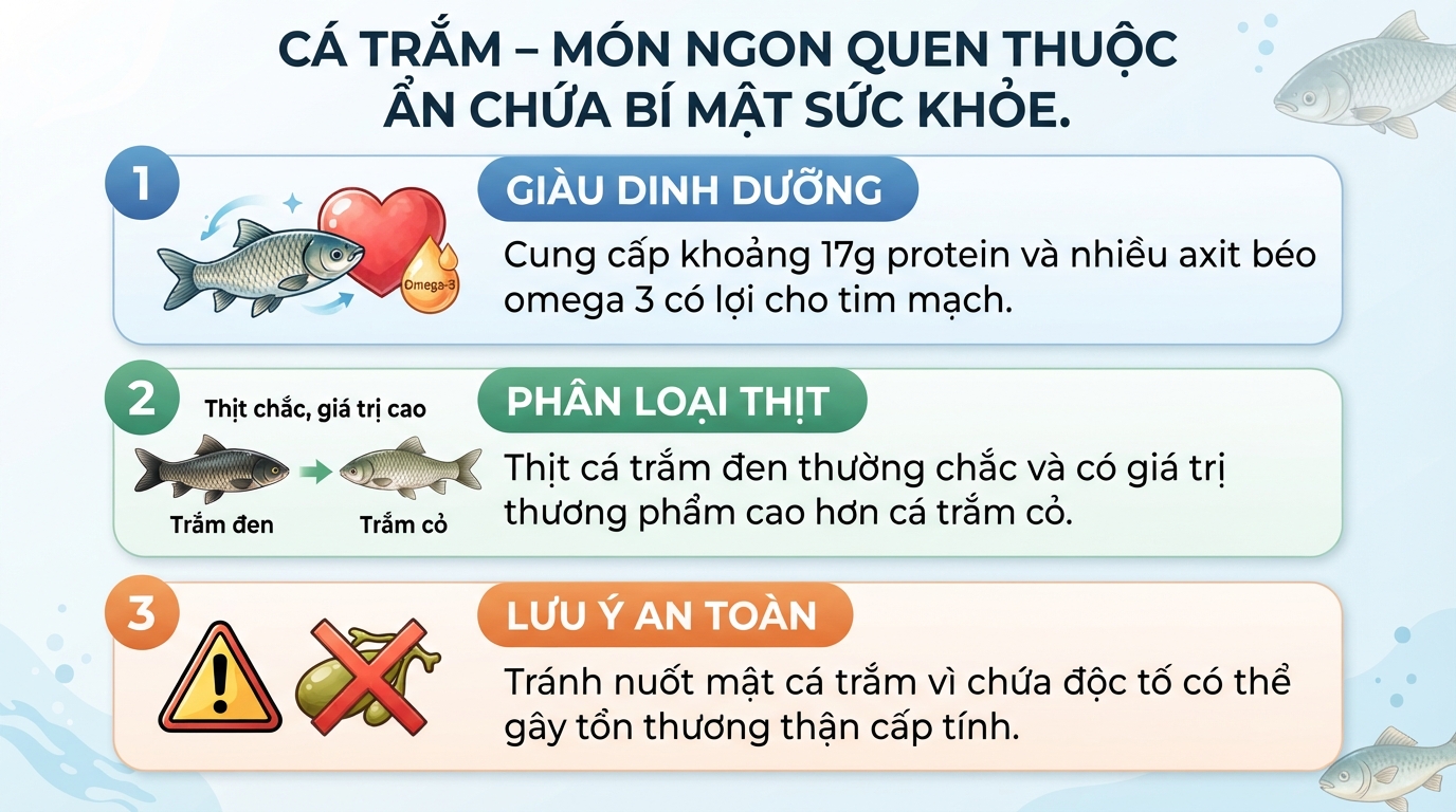 Cá trắm: Giá trị dinh dưỡng, tác dụng và lưu ý an toàn