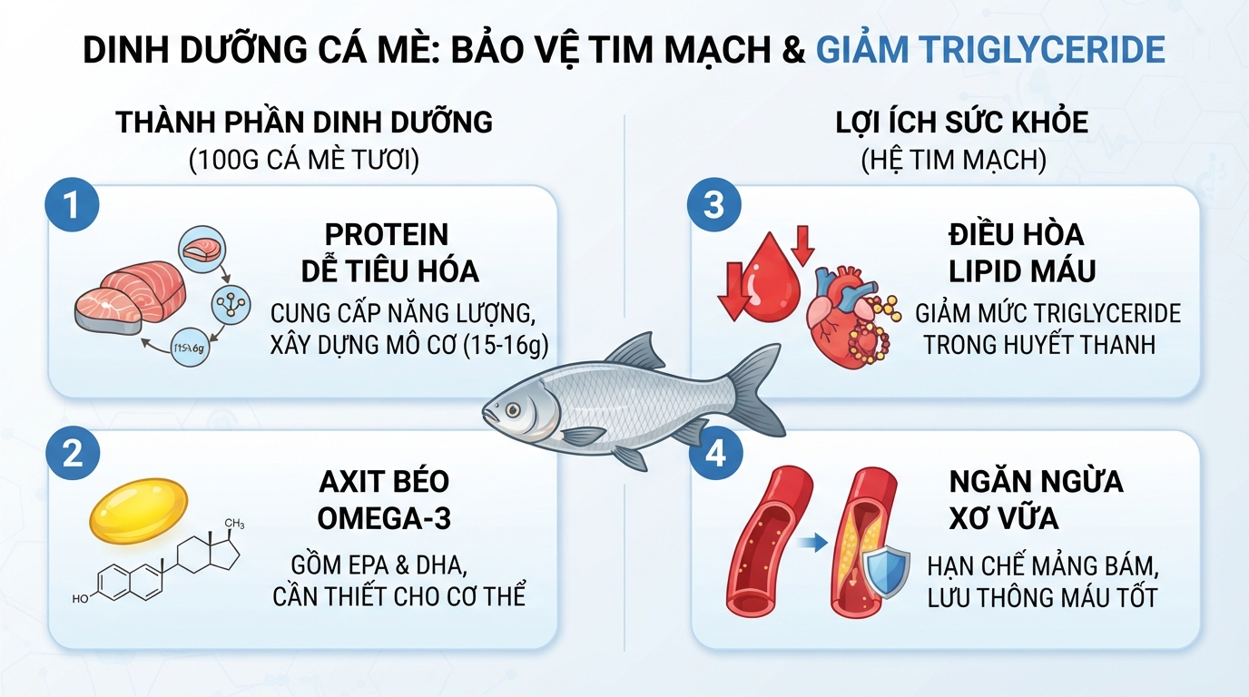 Thành phần dinh dưỡng trong cá mè giúp giảm triglyceride và bảo vệ sức khỏe hệ tim mạch.