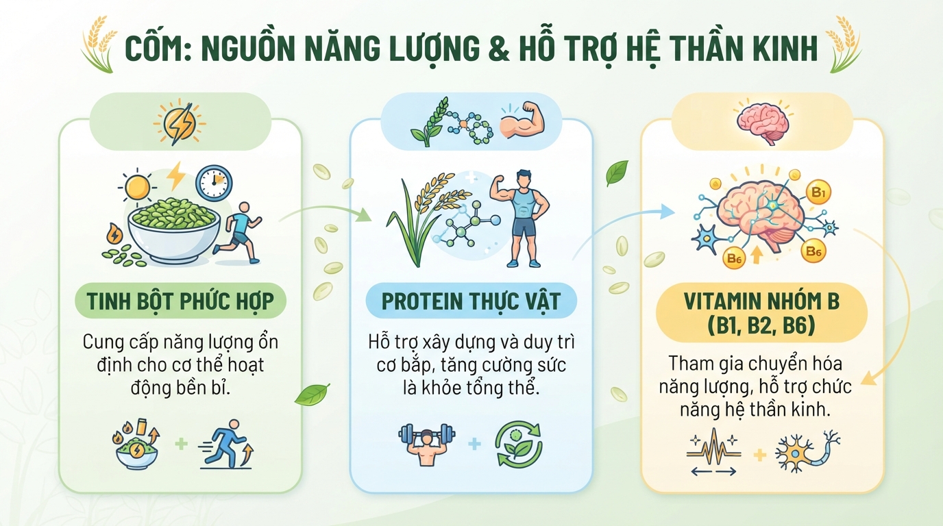 Thành phần dinh dưỡng trong cốm cung cấp năng lượng và hỗ trợ hệ thần kinh hiệu quả.