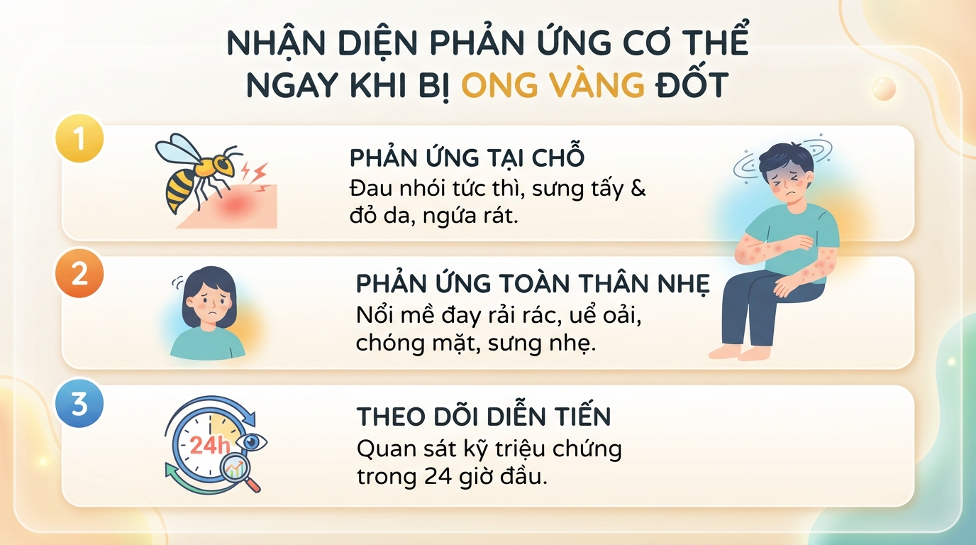 Bị ong vàng đốt có sao không? Cách sơ cứu và dấu hiệu cần cấp cứu