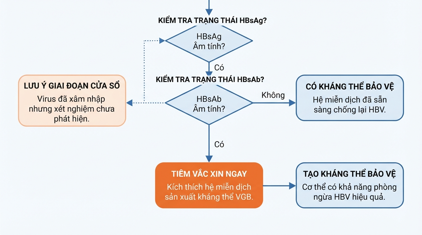 Tiêm vắc xin khi HBsAg và HBsAb đều âm tính để tạo kháng thể bảo vệ cơ thể.