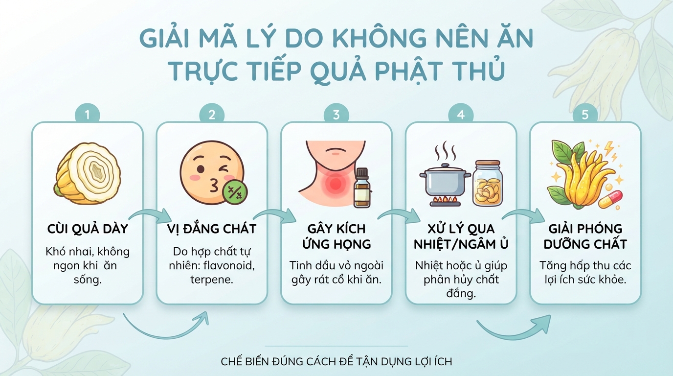 Quả phật thủ có ăn được không? Công dụng và cách sử dụng an toàn