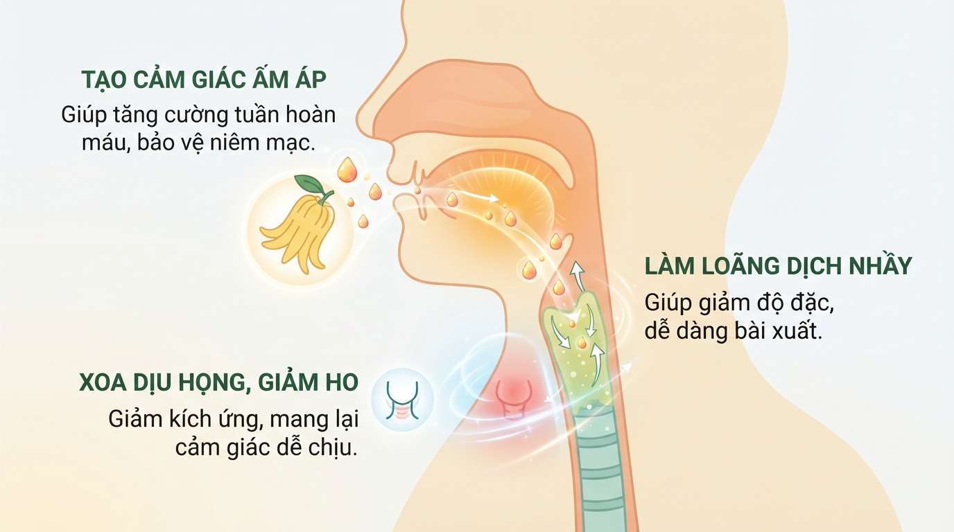 Tinh dầu tự nhiên giúp làm ấm niêm mạc họng và làm loãng dịch đờm nhanh chóng.