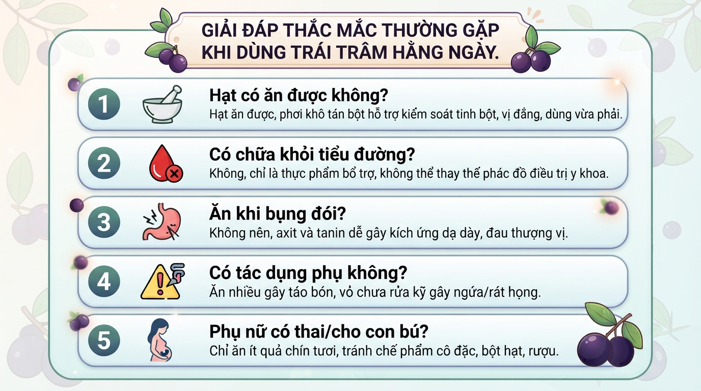 Trái trâm là gì? 5 tác dụng của trái trâm đối với sức khỏe