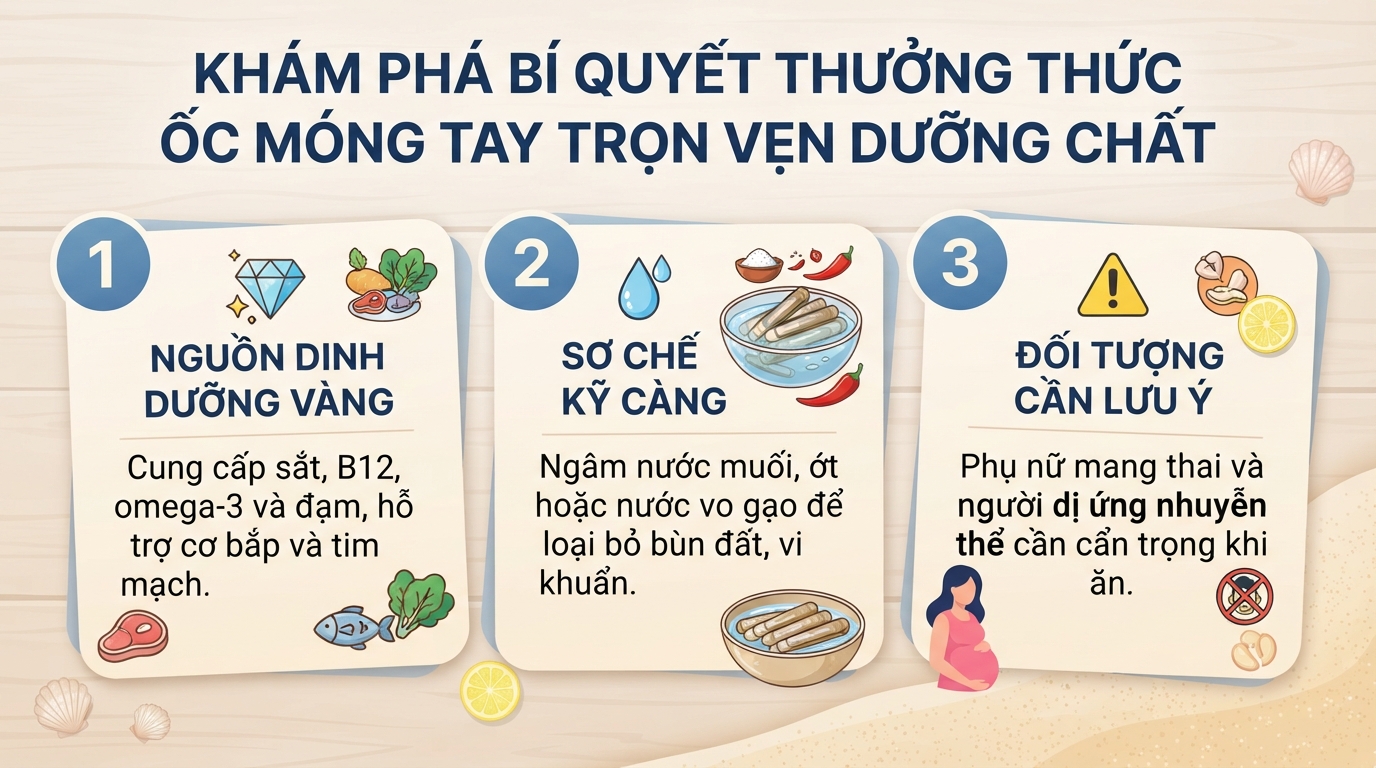 Ốc móng tay có tác dụng gì? Giá trị dinh dưỡng và cách chế biến