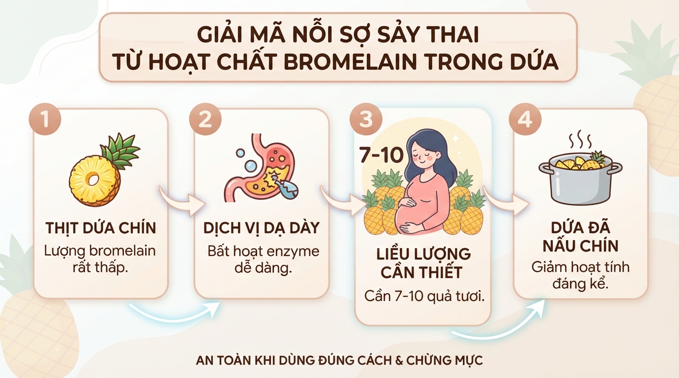 Bầu ăn dứa được không? Lợi ích và lưu ý an toàn cho mẹ