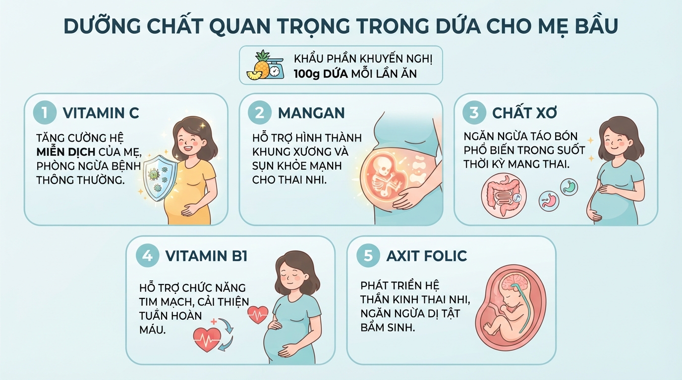 Vitamin C và Mangan trong dứa hỗ trợ hệ miễn dịch của mẹ cùng khung xương thai nhi.
