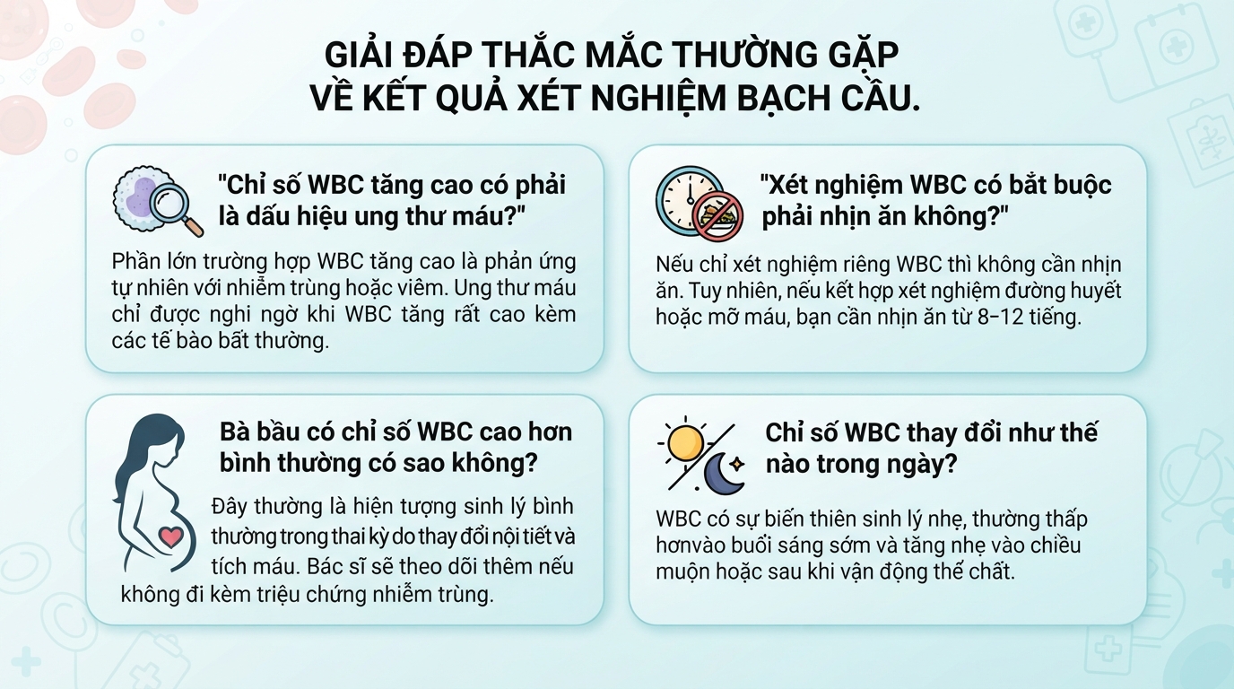WBC trong xét nghiệm máu là gì? Ý nghĩa chỉ số và khi nào cần đi khám