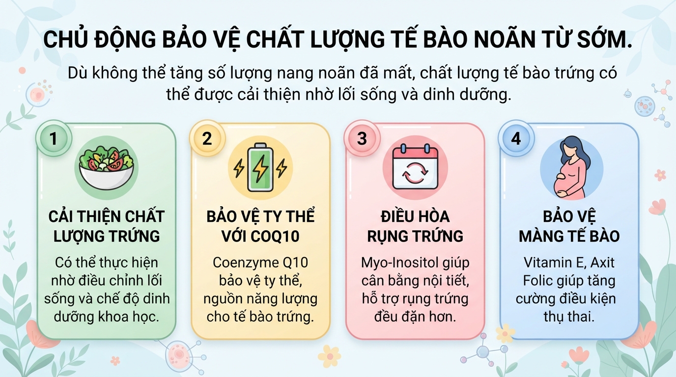 Xét nghiệm AMH là gì? Ý nghĩa chỉ số dự trữ buồng trứng