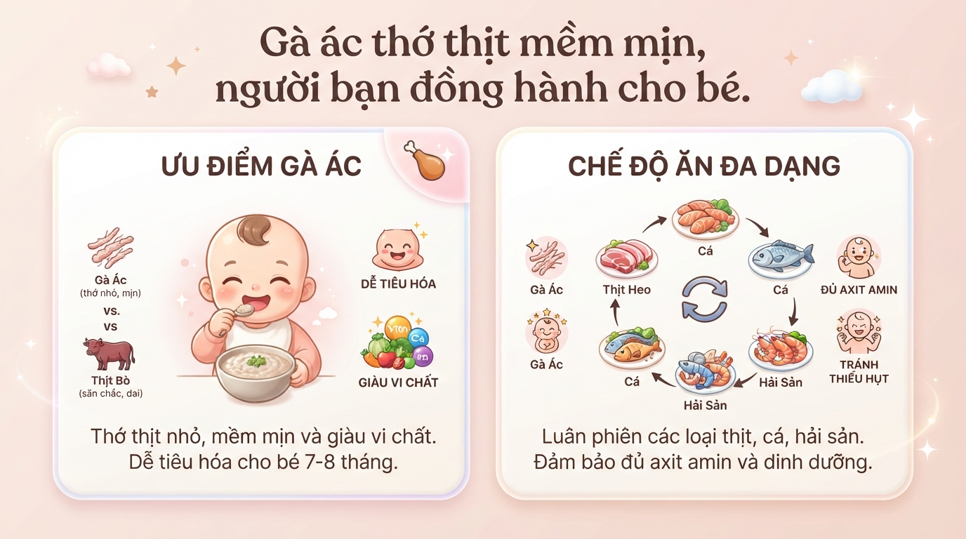 Bé mấy tháng ăn được gà ác? Lợi ích và cách chế biến an toàn cho trẻ