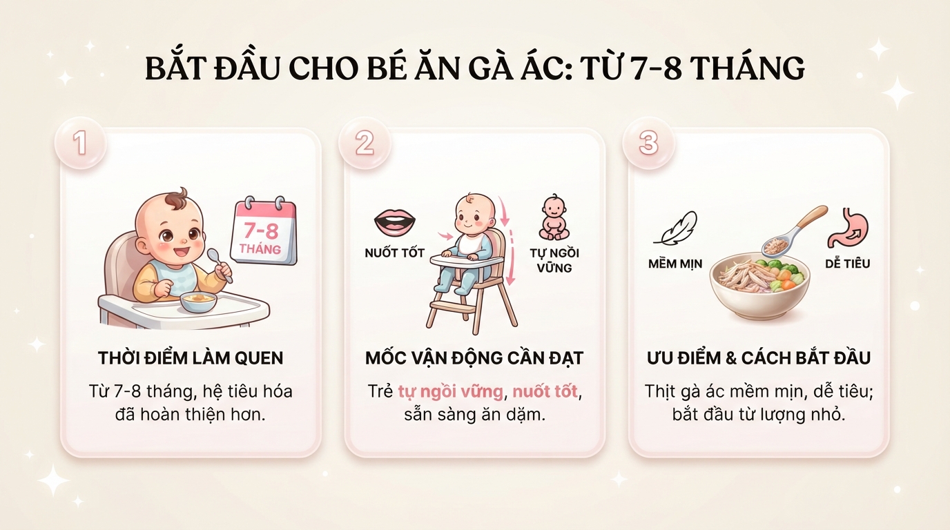 Bé mấy tháng ăn được gà ác phụ thuộc vào khả năng nhai nuốt từ 7 tháng. Bé mấy tháng ăn được gà ác phụ thuộc vào khả năng nhai nuốt từ 7 tháng.