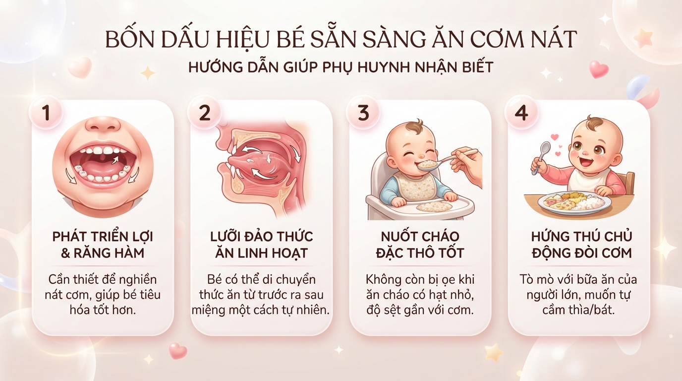 Bốn dấu hiệu thể chất quan trọng giúp phụ huynh nhận biết trẻ sẵn sàng ăn cơm. Bốn dấu hiệu thể chất quan trọng giúp phụ huynh nhận biết trẻ sẵn sàng ăn cơm.