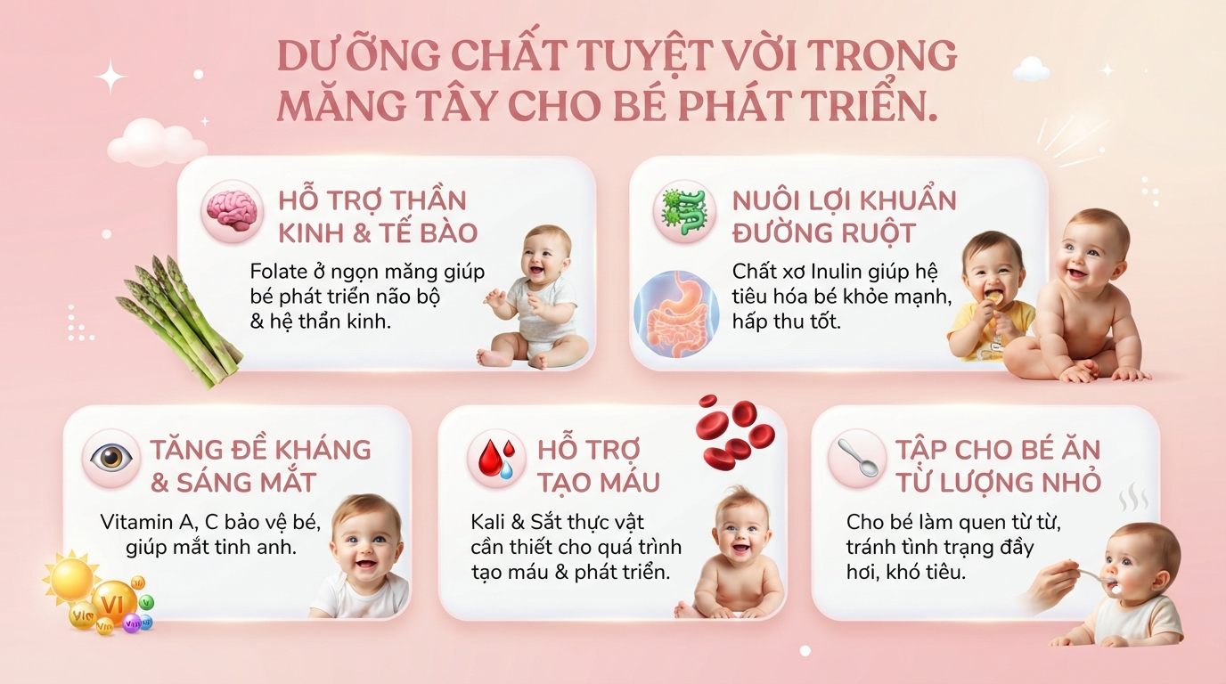 Bé mấy tháng ăn được măng tây và cách chế biến an toàn cho trẻ tại nhà