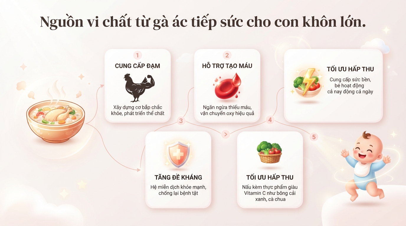 Bé mấy tháng ăn được gà ác? Lợi ích và cách chế biến an toàn cho trẻ