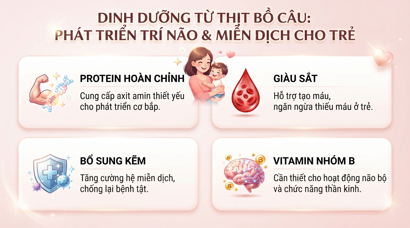 Dinh dưỡng từ thịt bồ câu giúp trẻ phát triển trí não và tăng cường hệ miễn dịch hiệu quả. Dinh dưỡng từ thịt bồ câu giúp trẻ phát triển trí não và tăng cường hệ miễn dịch hiệu quả.