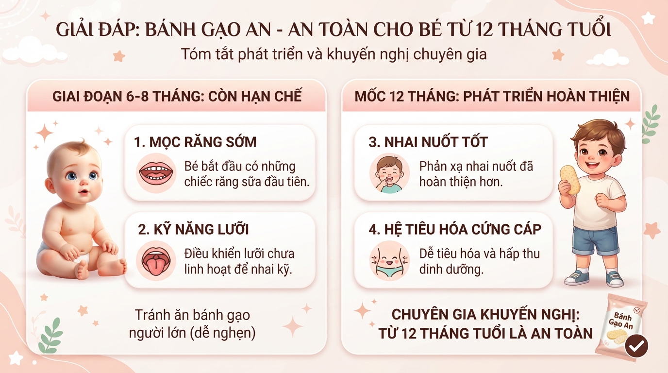 Giải đáp bánh gạo an bé mấy tháng ăn được tại mốc 12 tháng tuổi của trẻ.