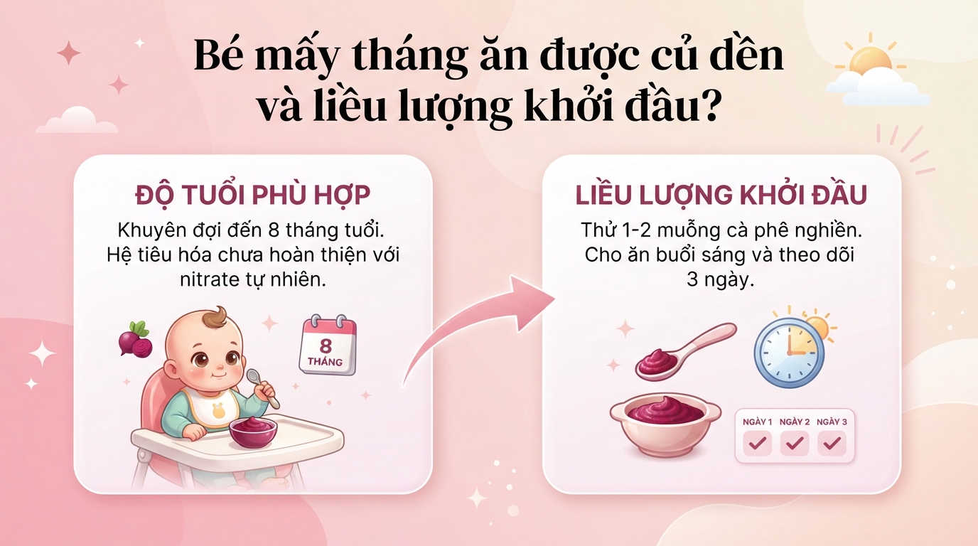 Bé mấy tháng ăn được củ dền? Lợi ích, cách nấu, lưu ý an toàn cho bé ăn dặm