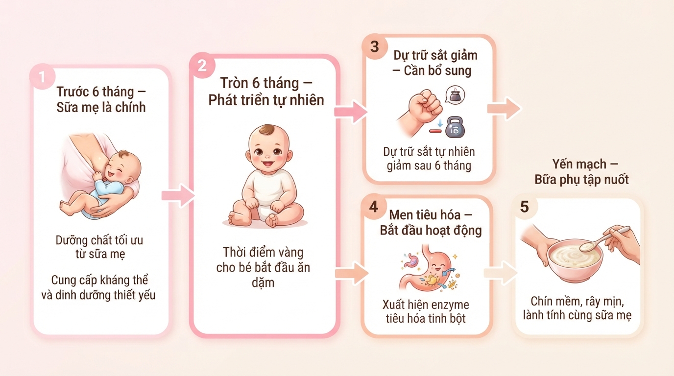 Khuyến nghị thời điểm bé mấy tháng ăn được yến mạch kết hợp sữa mẹ.