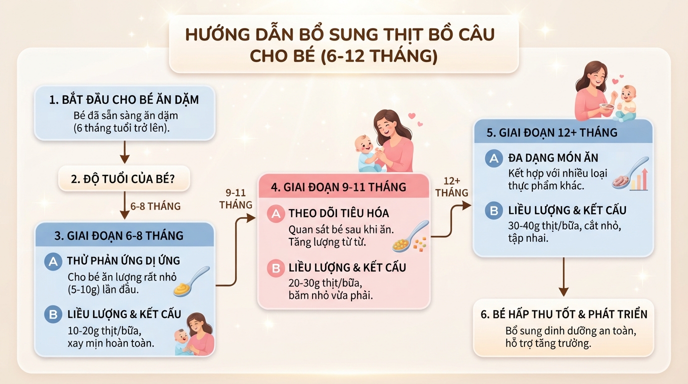 Liều lượng thịt bồ câu khuyến nghị theo độ tuổi giúp bé hấp thu dinh dưỡng an toàn. Liều lượng thịt bồ câu khuyến nghị theo độ tuổi giúp bé hấp thu dinh dưỡng an toàn.