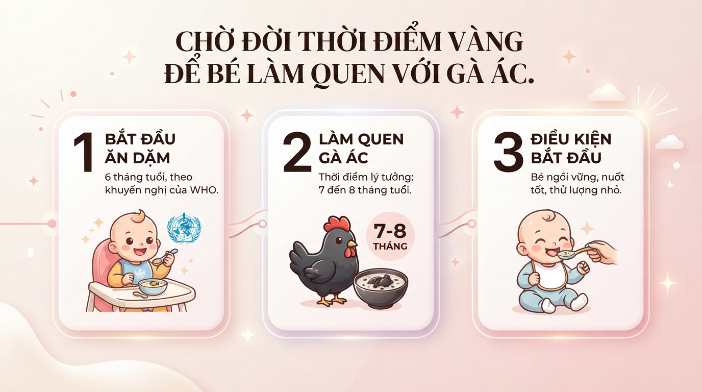 Bé mấy tháng ăn được gà ác? Lợi ích và cách chế biến an toàn cho trẻ