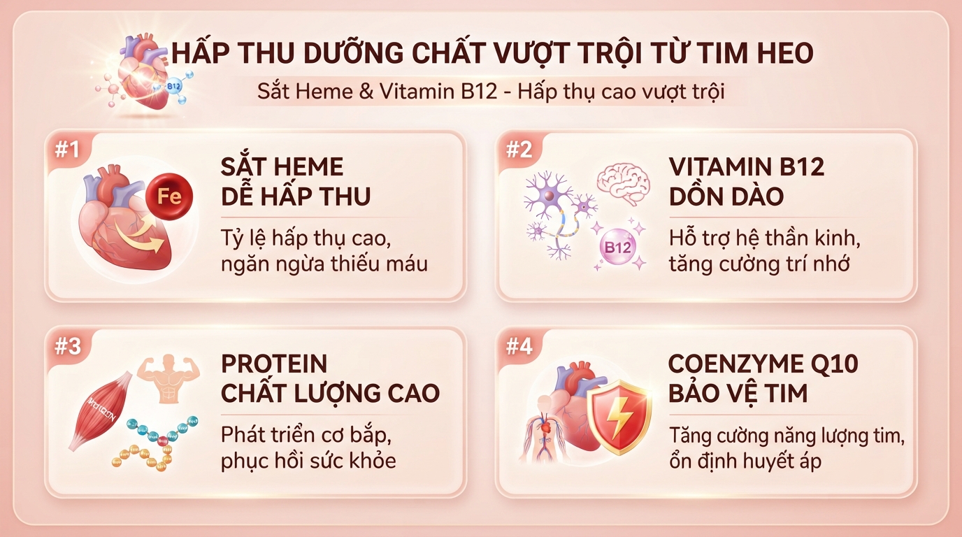 Sắt Heme và Vitamin B12 trong tim heo có tỷ lệ hấp thụ cao vượt trội. Sắt Heme và Vitamin B12 trong tim heo có tỷ lệ hấp thụ cao vượt trội.