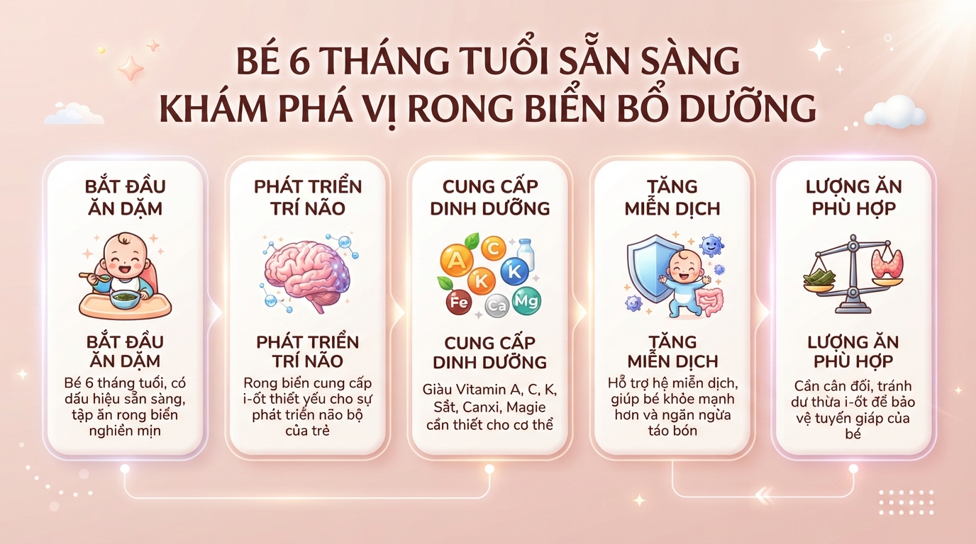 Bé mấy tháng ăn được rong biển? Lợi ích dinh dưỡng, cách chế biến