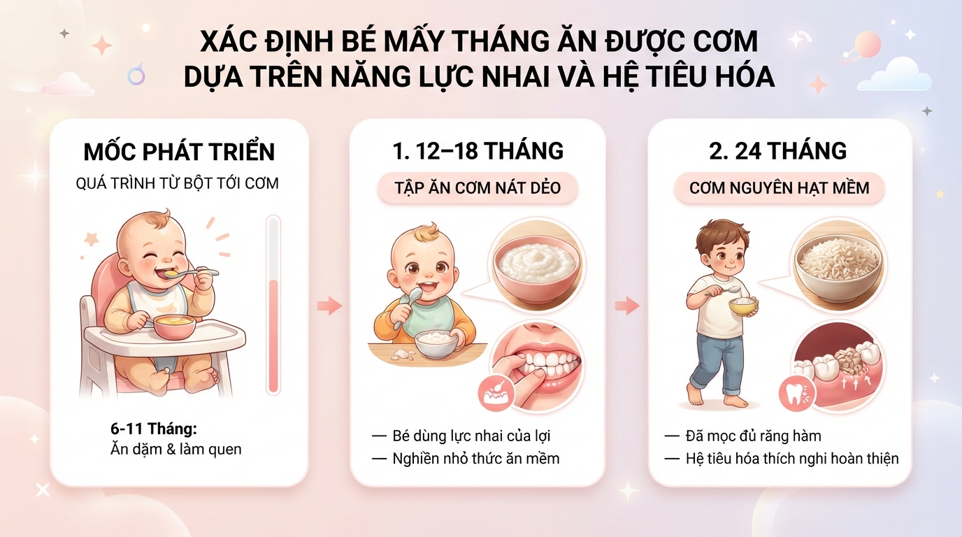 Xác định bé mấy tháng ăn được cơm dựa trên năng lực nhai và hệ tiêu hóa. Xác định bé mấy tháng ăn được cơm dựa trên năng lực nhai và hệ tiêu hóa.