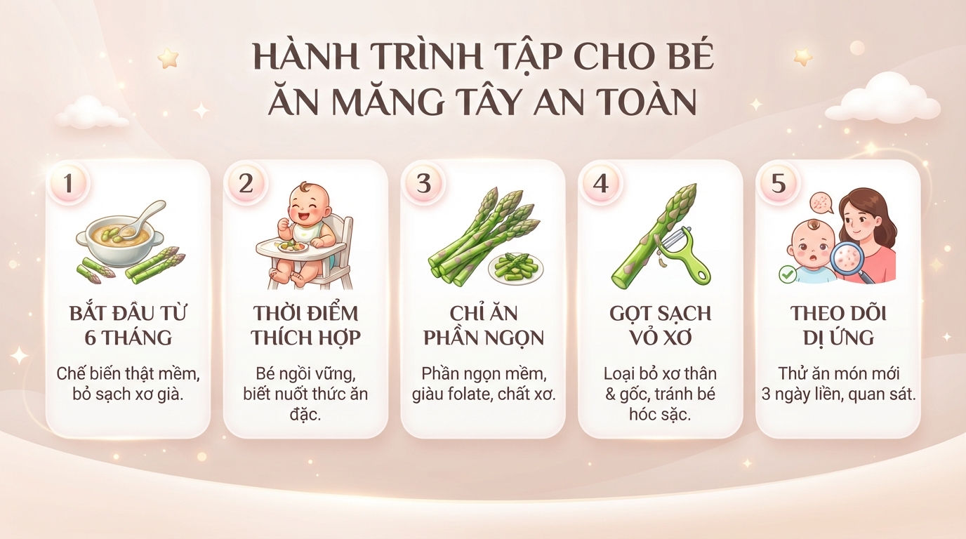 Bé mấy tháng ăn được măng tây và cách chế biến an toàn cho trẻ tại nhà
