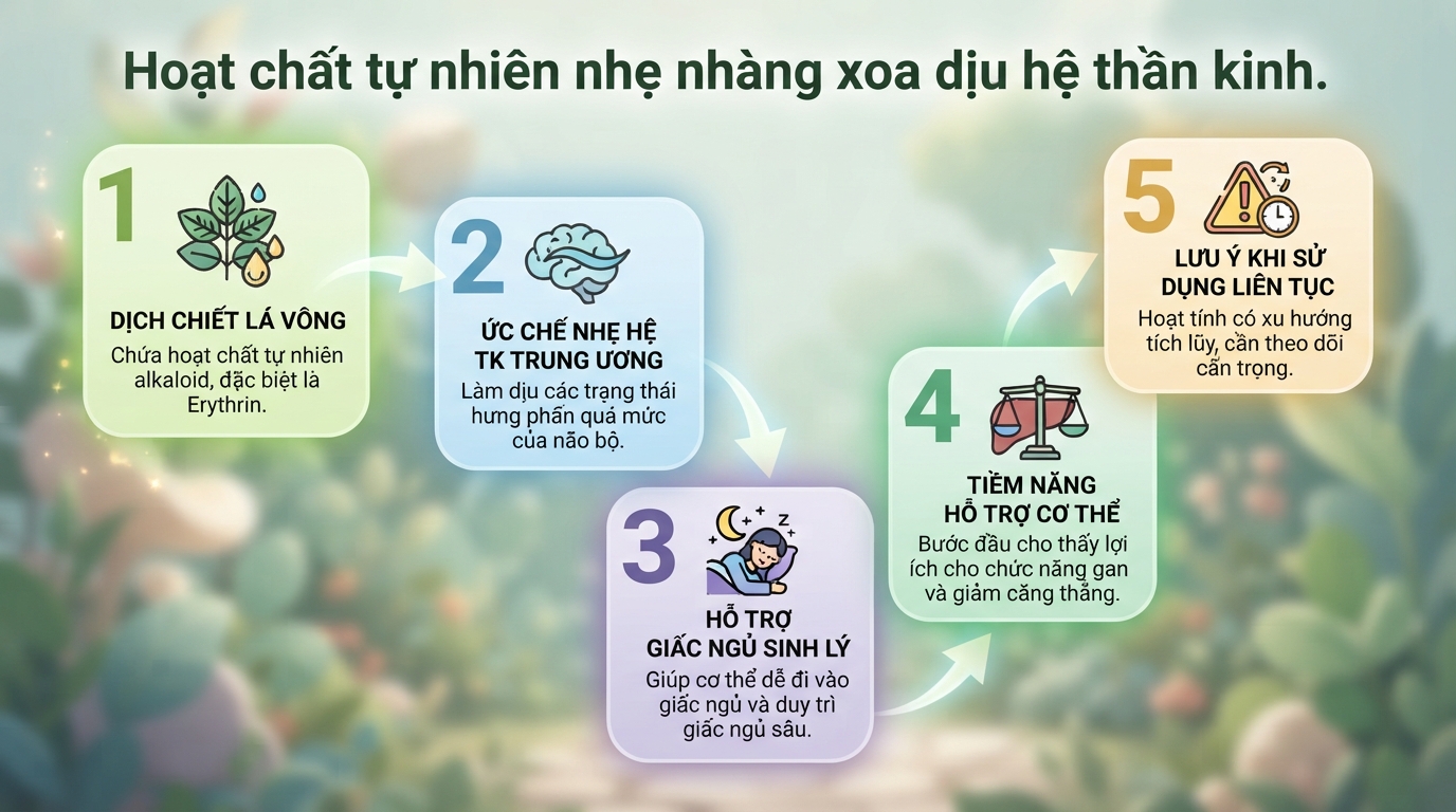 Lá vông nem: Công dụng hỗ trợ an thần, mất ngủ và lưu ý khi dùng
