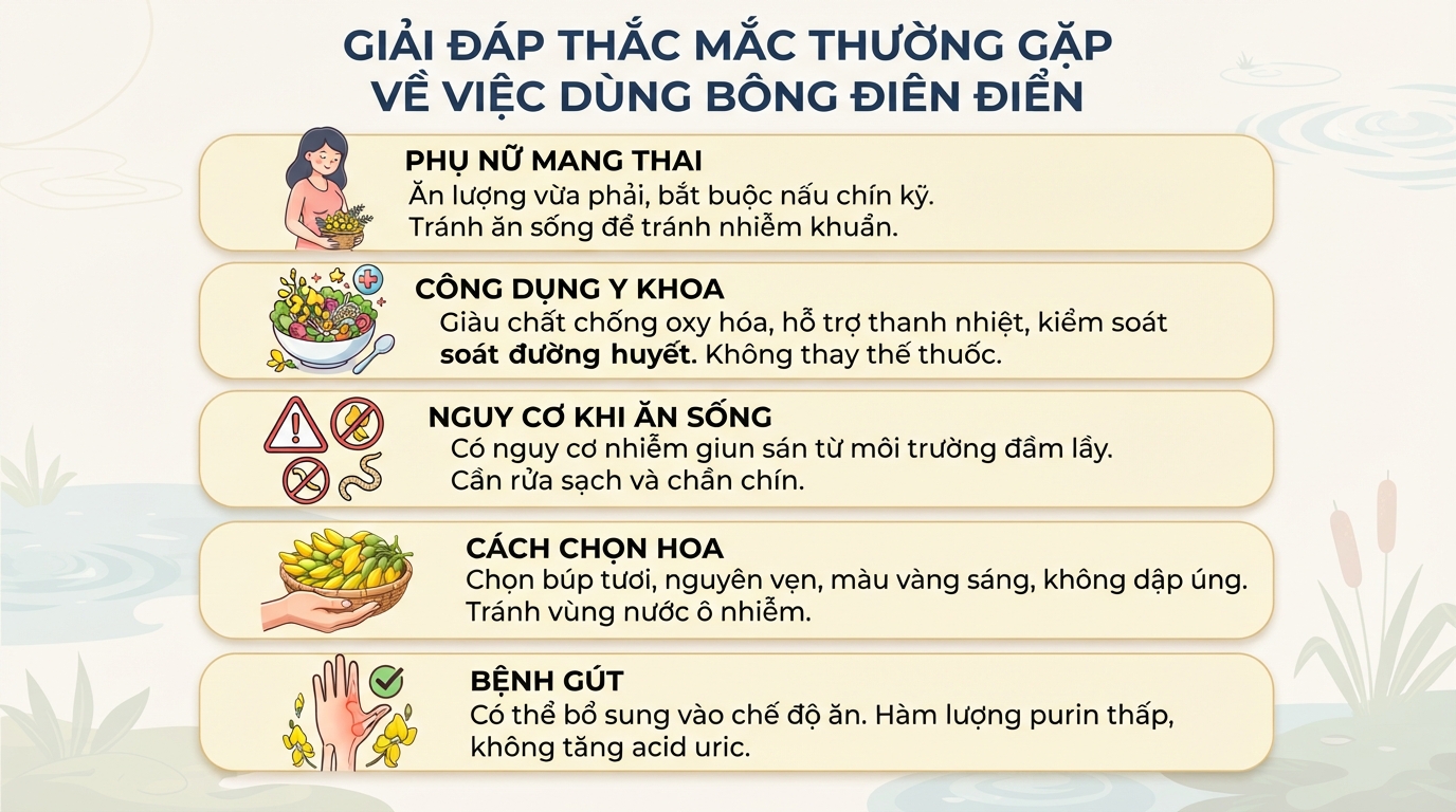 Bông điên điển có tác dụng gì? Dinh dưỡng, lợi ích và cách dùng