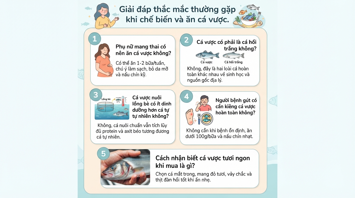 Cá vược là cá gì? Giá trị dinh dưỡng, lợi ích và lưu ý khi sử dụng