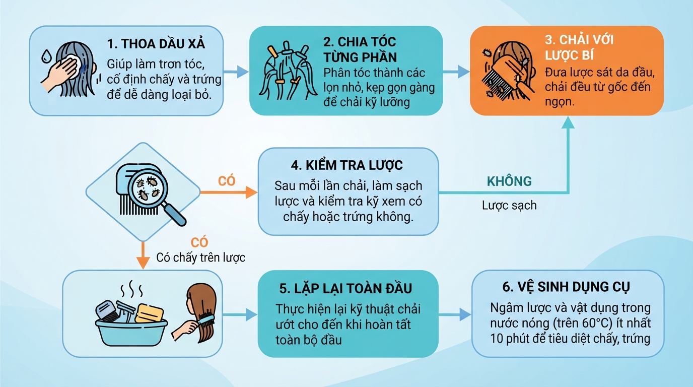 Các bước sử dụng lược bí chuyên dụng để loại bỏ vật lý chấy và trứng hiệu quả.