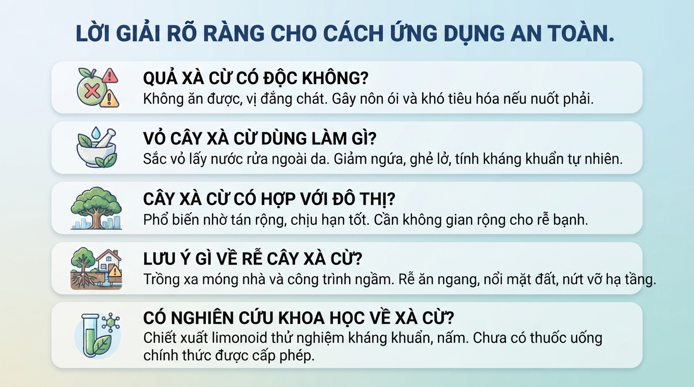 Cây xà cừ: Đặc điểm, giá trị và những lưu ý quan trọng khi sử dụng