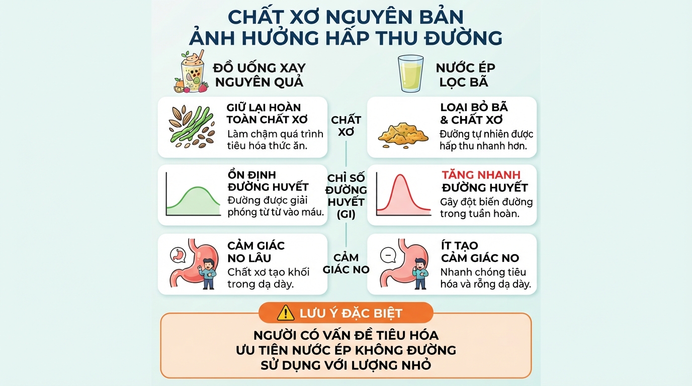 Chất xơ nguyên bản làm chậm tốc độ hấp thu đường đơn vào tuần hoàn máu.