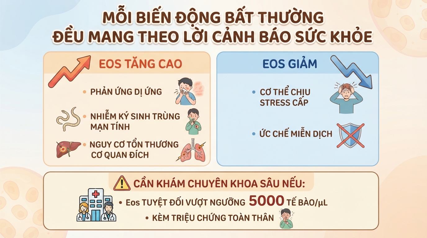 Chỉ số Eos trong xét nghiệm máu là gì? Ý nghĩa khi tăng hoặc giảm