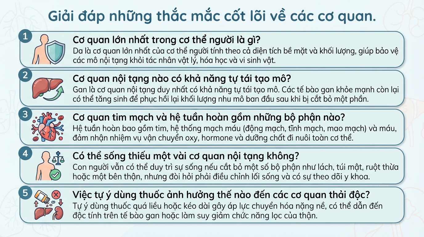 Cơ quan trong cơ thể người: Cấu tạo, chức năng và cách bảo vệ
