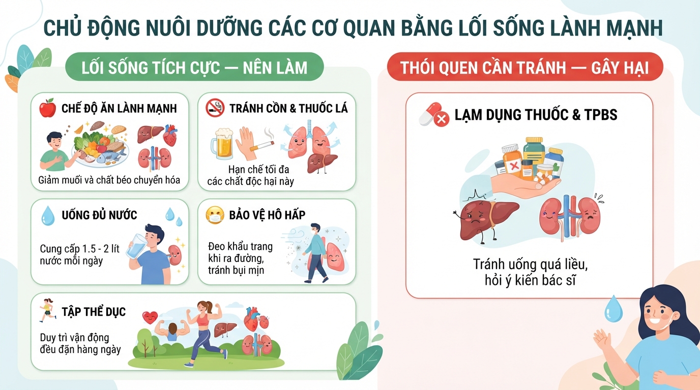 Cơ quan trong cơ thể người: Cấu tạo, chức năng và cách bảo vệ