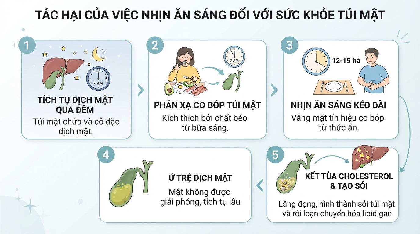 Dịch mật bị ứ trệ từ 12 đến 15 tiếng dễ kết tinh tạo sỏi cholesterol.