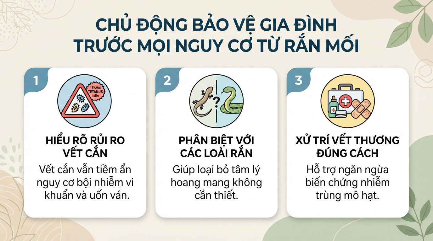 Rắn mối có độc không? Cách nhận biết và xử lý khi bị cắn