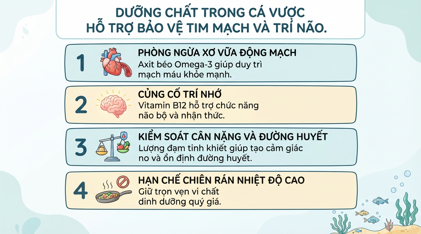 Cá vược là cá gì? Giá trị dinh dưỡng, lợi ích và lưu ý khi sử dụng