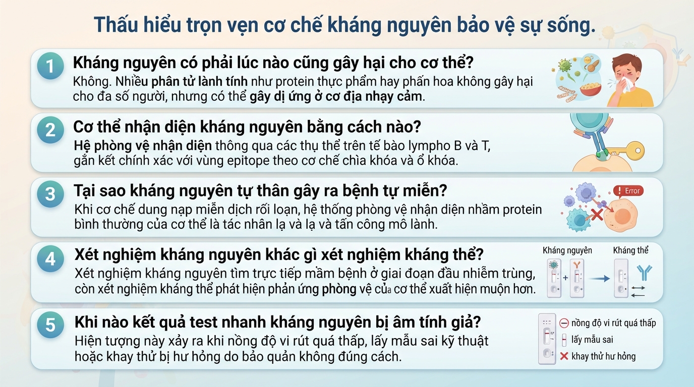 Kháng nguyên là gì? Cấu trúc, đặc tính và ứng dụng y khoa